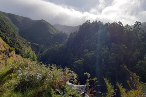 Madeira: privé Levada Ponta do Pargo-wandelingTour met pick-up in het zuidwesten van Madeira