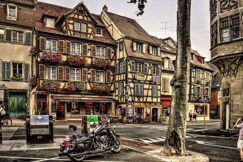 Colmar: Privater geführter Rundgang durch das StadtzentrumPrivate geführte Tour - Englisch, Französisch oder Deutsch