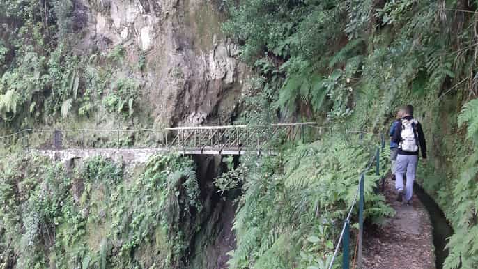 madeira private levada dos cedros fanal walk