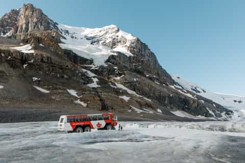 from jasper columbia icefield halfday tour
