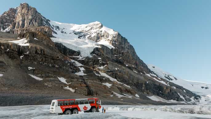 from jasper columbia icefield halfday tour