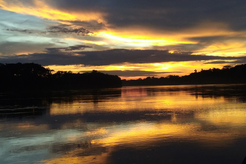 Ricerca di caimani e capibara sul fiume TambopataPuerto Maldonado: Crociera di 3 ore sul fiume Tambopata al tramonto