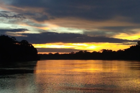 KAIMAN EN CAPIBARA ZOEKEN OP DE TAMBOPATA RIVIERPuerto Maldonado: 2-uur durende Tambopata-riviercruise bij zonsondergang