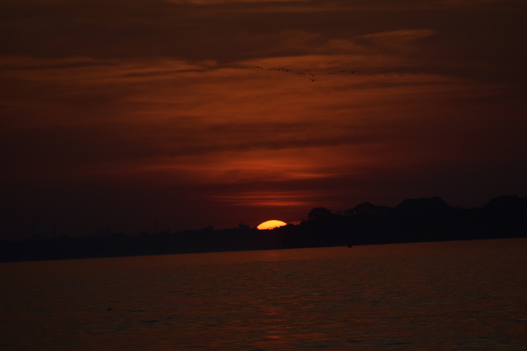 KAIMAN- UND KAPIBARASUCHE AM TAMBOPATA-FLUSSPuerto Maldonado: 2-stündige Tambopata-Flusskreuzfahrt bei Sonnenuntergang