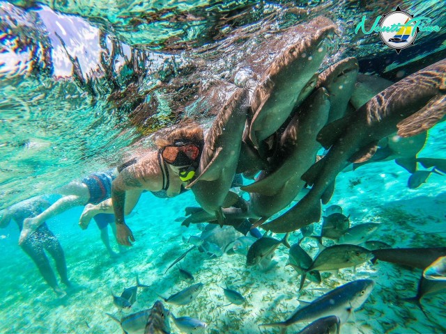 Visit Caye Caulker Hol Chan Marine Reserve Small-Group Tour in San Pedro
