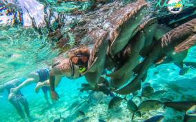 Caye Caulker: Hol Chan Marine Reserve Small-Group Tour