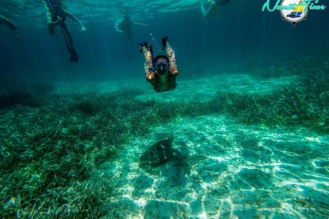 Caye Caulker: Hol Chan Marine Reserve Tour met kleine groepen