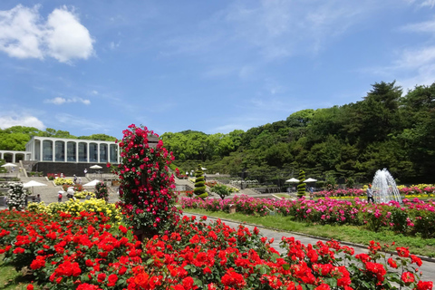 神户/大阪：神户私人导游之旅，可选神户牛肉午餐神户/大阪：神户私人导游游，可选神户牛肉午餐