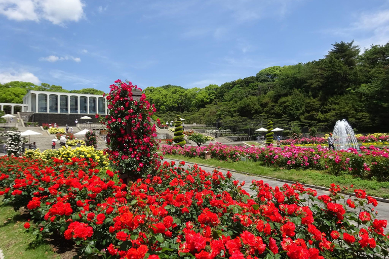 神户/大阪：神户私人导游之旅，可选神户牛肉午餐神户/大阪：神户私人导游游，可选神户牛肉午餐