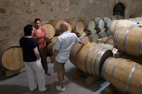 Van Bordeaux: Saint-Emilion Wine Tour in een zijspanSaint-Emilion-wijntour van een halve dag in een zijspan