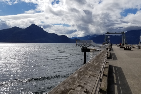 From Vancouver: Shannon Falls and Whistler Sightseeing Tour