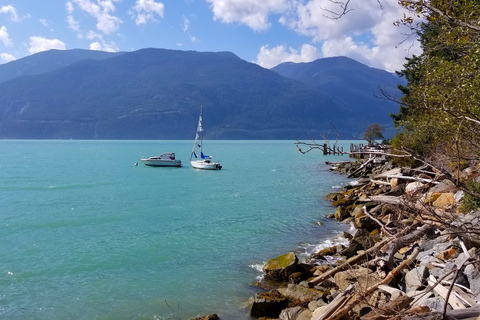 From Vancouver: Shannon Falls and Whistler Sightseeing Tour