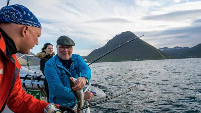 from Ísafjörður 2.5hour Ísafjarðardjúp bay nature cruise