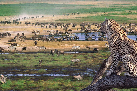 Da Nairobi: Safari privato di 3 giorni nel Masai Mara livello di comfortSafari con Land Cruiser/Jeep a tetto aperto