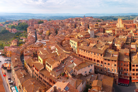 من فلورنسا: رحلة نهارية إلى توسكانا مع سائق خاصجولة خاصة باللغة الإسبانية