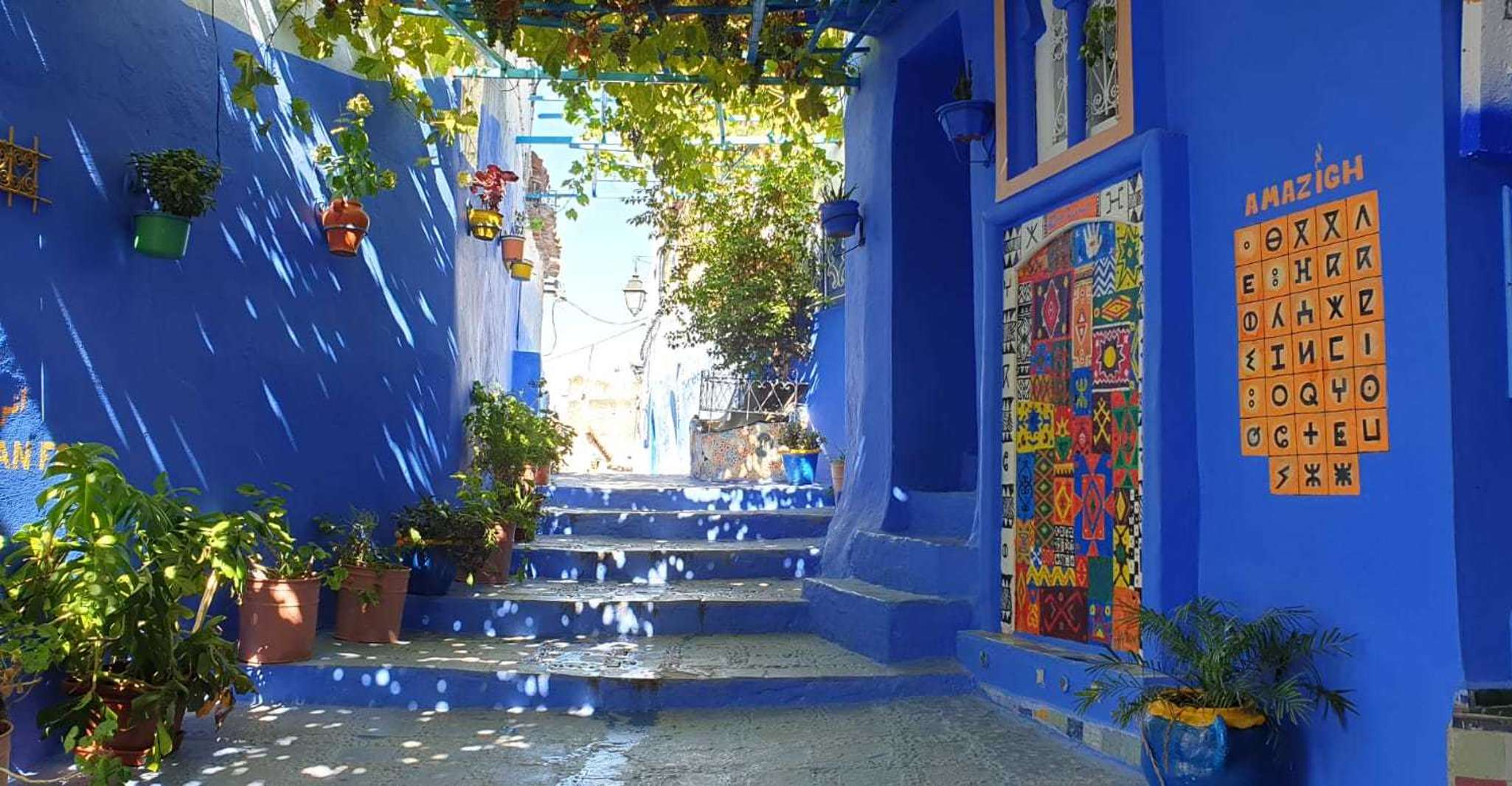 Tanger, voyage d'une journée à Chefchaouen - Hizvo