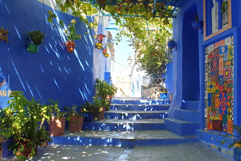 Tanger : visite guidée d'une journée à Chefchaouen