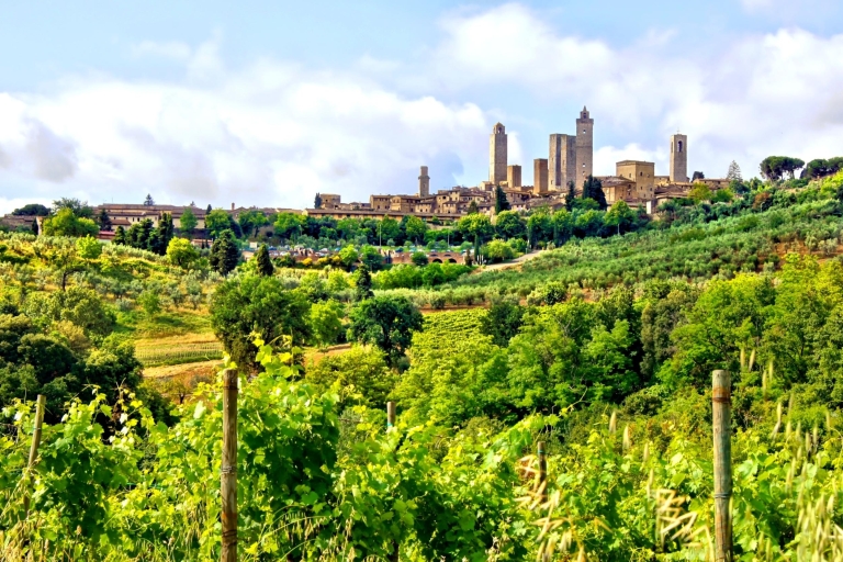 From Florence: Private Pisa, Siena and San Gimignano Trip Tour in Italian