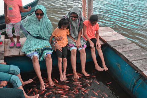 Depuis Kalutara : Visite du domaine de Lunuganga, des tortues et de la rivière MaduDe Kalutara: domaine de Lunuganga, tortues et visite de la rivière Madu