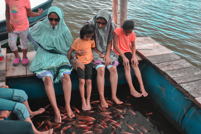 Depuis Kalutara : Visite du domaine de Lunuganga, des tortues et de la rivière MaduDe Kalutara: domaine de Lunuganga, tortues et visite de la rivière Madu