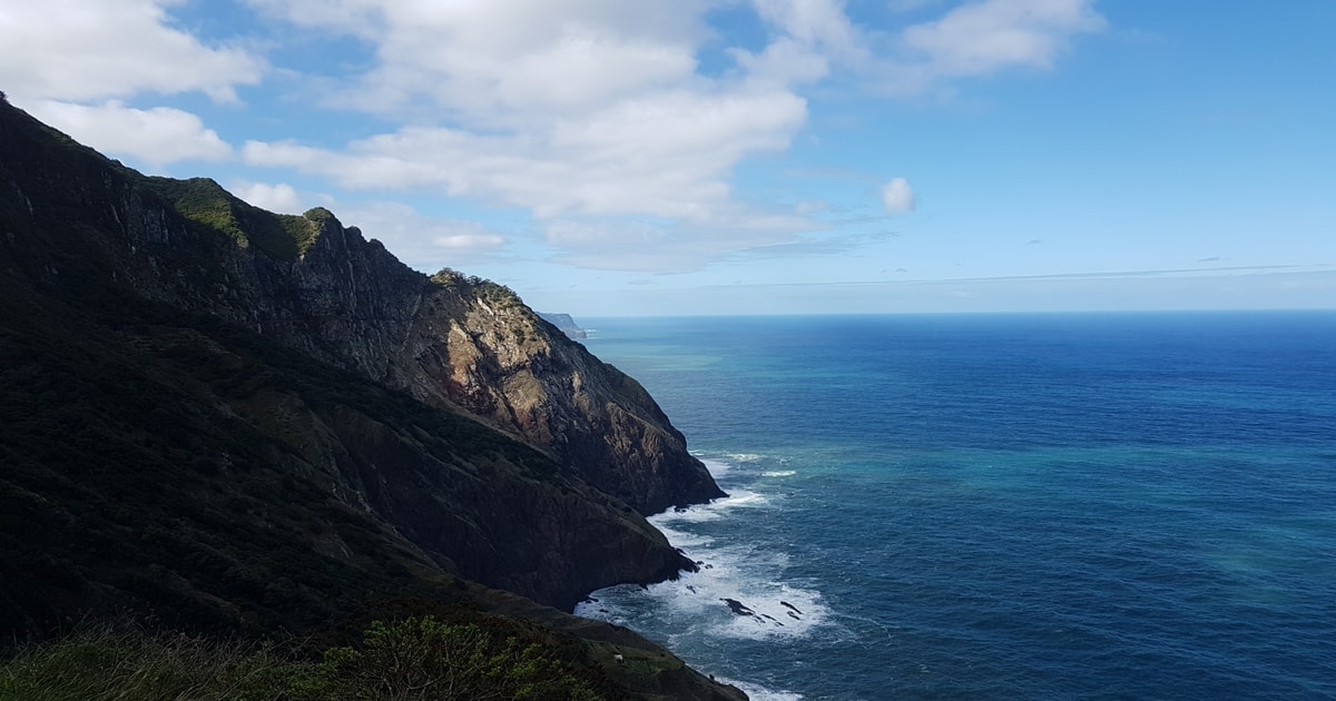 Madeira: Private Vereda do Larano Hike | GetYourGuide