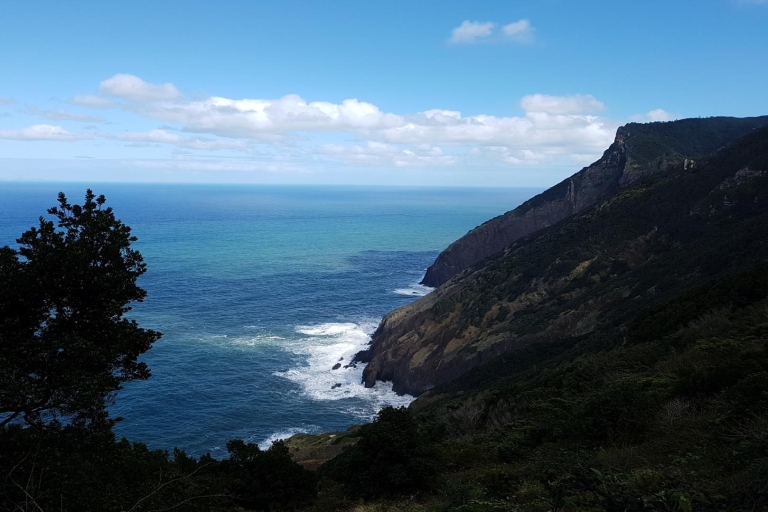 Madeira: Private Vereda do Larano Hike Tour with North West Madeira Pickup
