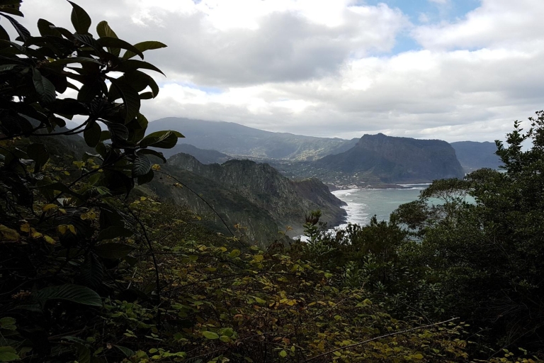 Madeira: Private Vereda do Larano Hike Tour with South West Madeira Pickup