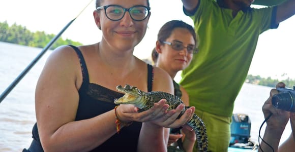Bentota River Safari with Mangrove and Wildlife Encounter