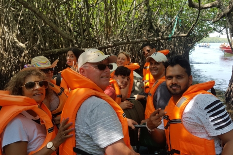 Bentota: Safari en bateau sur la rivière