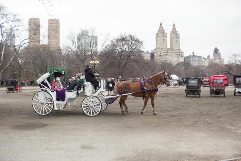 NYC Horse Carriage Ride in Central Park (65 min) GetYourGuide
