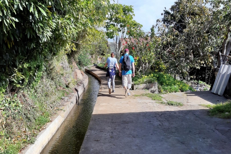 Madeira: Private Guided Levada do Norte Walk Tour with North West Madeira Pickup