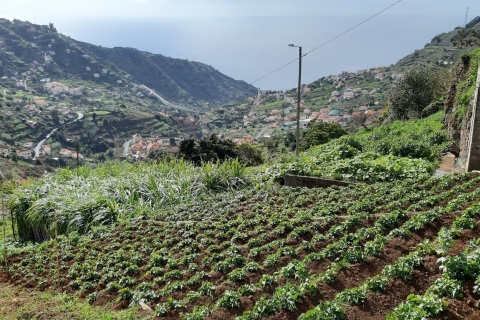 Madère : Marche guidée privée de Levada do NorteCircuit avec point de rencontre au port de Funchal