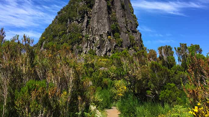 madeira private caminho do pináculo e folhadal