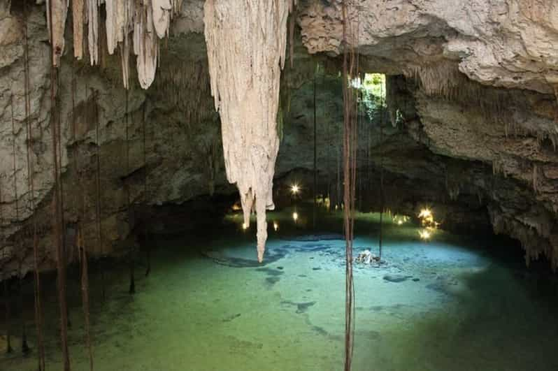 turtles and cenotes playa del carmen