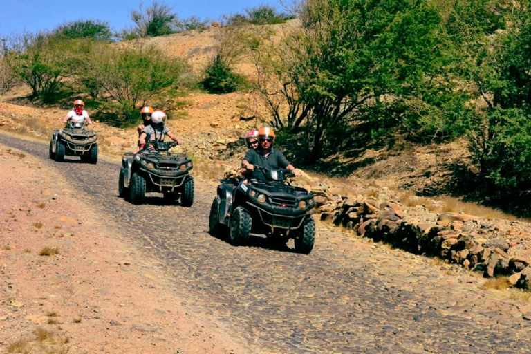 Insel Boa Vista: Ganztägiges ATV-Bike-Abenteuer mit Mittagessen1 Single ATV Quad für 1 Person