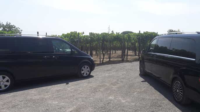 from naples fullday pompeii amalfi positano private tour