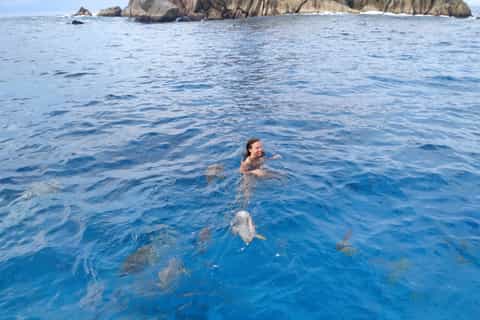 Praslin: La Digue, Cocos, and Felicity Islands Snorkeling
