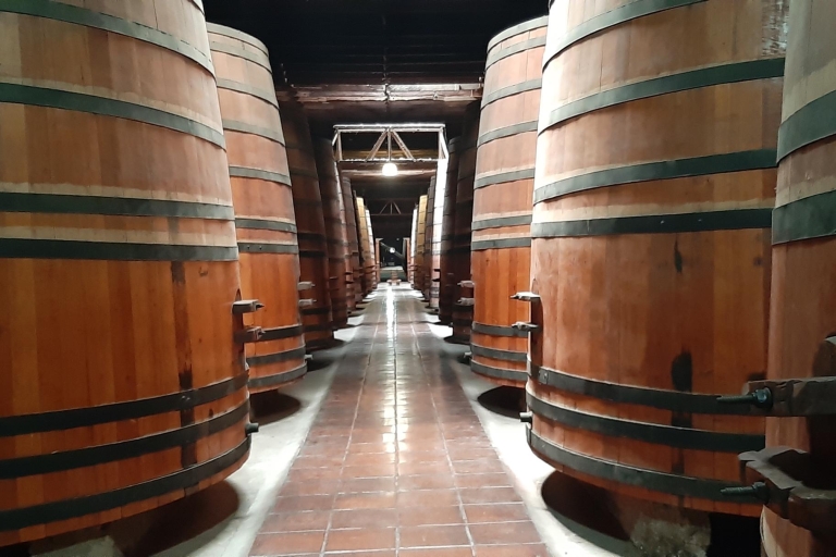Vallée de Maipo: visite privée d'une journée complète du vin