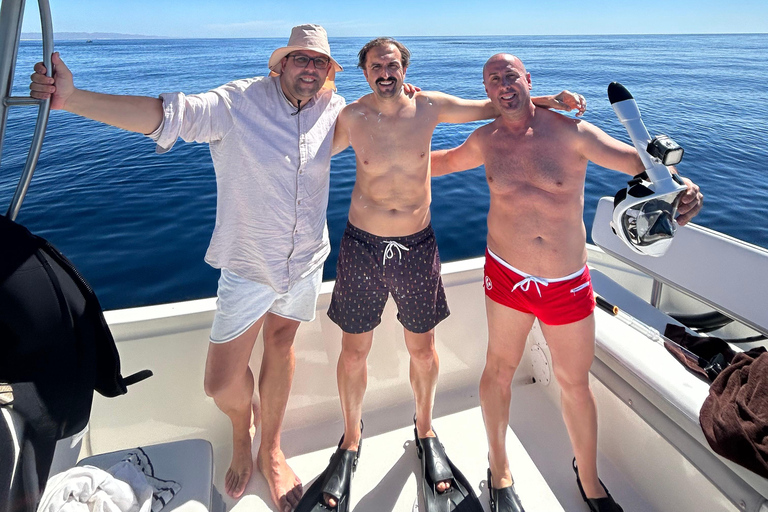 Ocean Safari in San Jose del Cabo