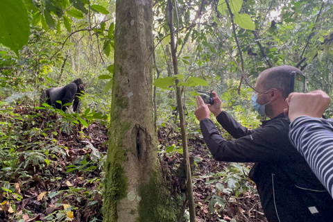 8-dagars vandringsresa med gorillor i Rwanda, Uganda och Kongo (DRC)