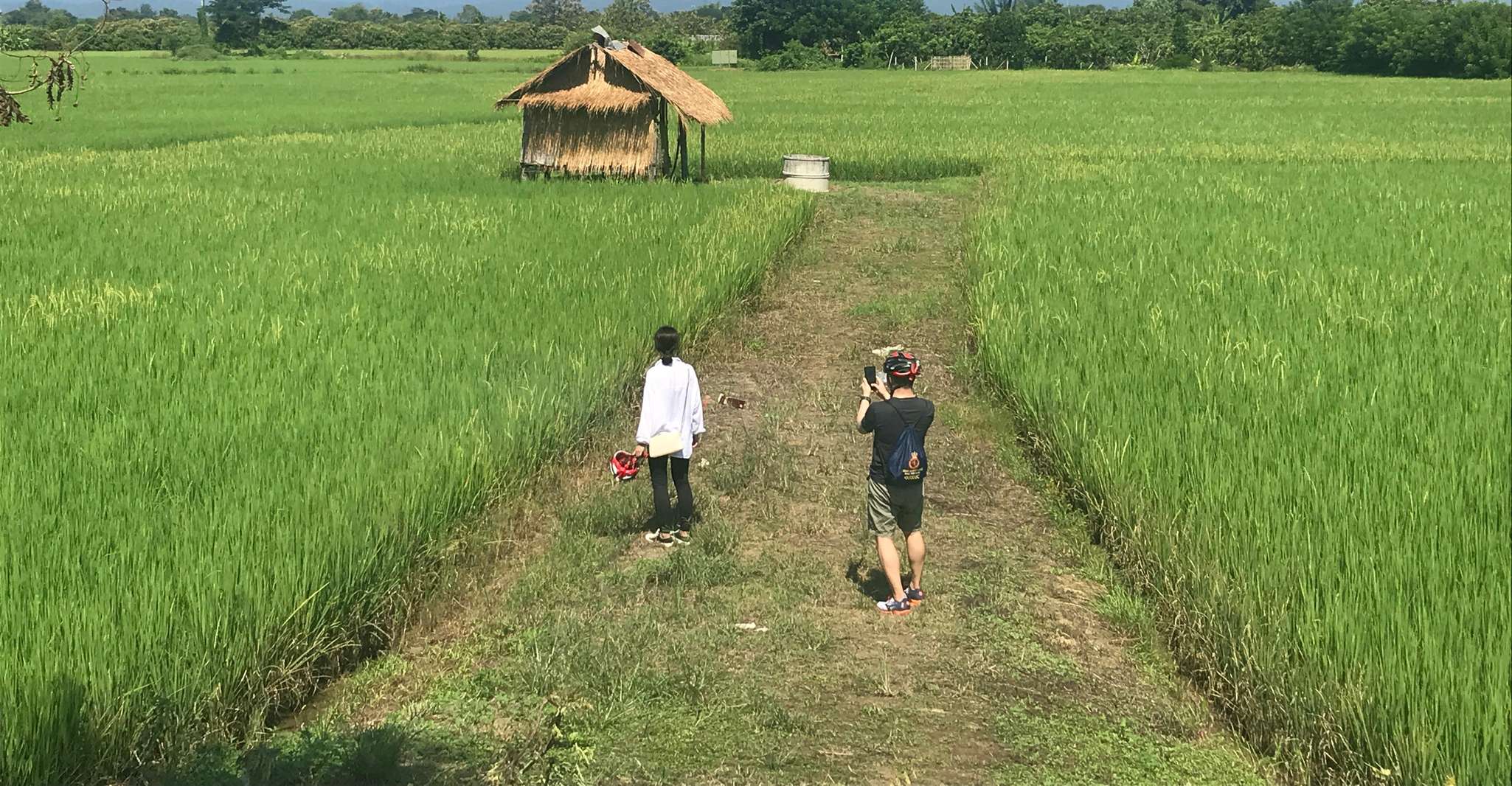 Chiang Mai, Halbtages-Ping-Fluss e-Bike-Abenteuer - Hizvo