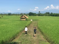 Chiang Mai, Yarım Gün Ping Nehri e-Bike Macerası - Hizvo