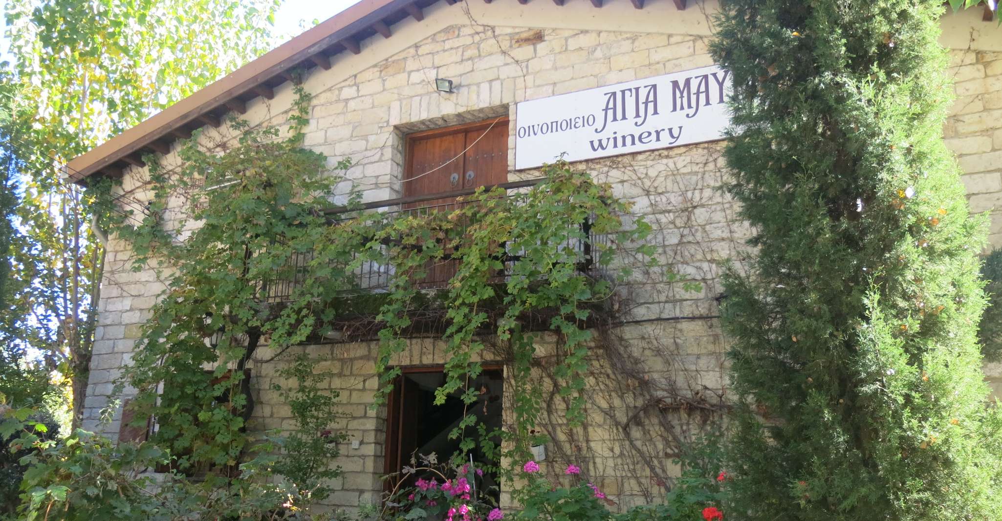 Chipre, Troodos Mountain Wine Tour con un local - Hizvo