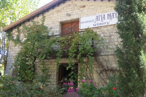 Grape Escape: Tour del vino por la montaña de Troodos con un lugareñoDesde Limassol: tour del vino de la montaña de Troodos con un local