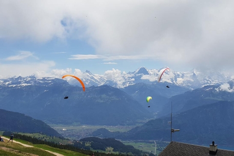 Zurich: visite panoramique panoramique des Alpes