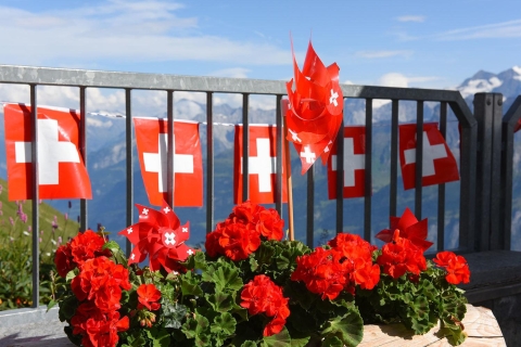 Zurich: visite panoramique panoramique des Alpes