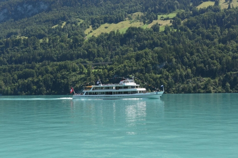 Zurich: Private Panoramic Alpine Tour