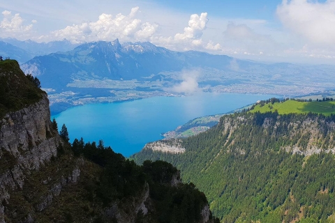 Zürich: Private Panorama-Alpentour