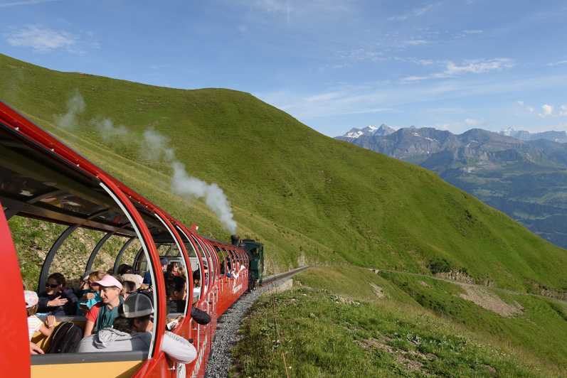 Zurique: Excursão Alpina Panorâmica Privada