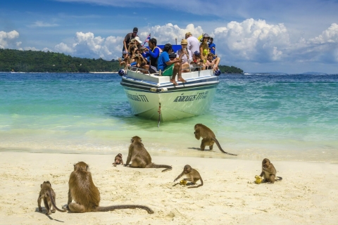 Khao Lak: Excursión de un día a la isla Phi Phi, la playa Maya y buceo con tuboRecogida en Bangsak